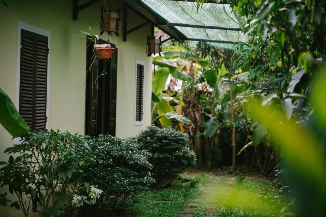 Hue Lotus Homestay מראה חיצוני תמונה